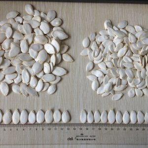 PUMPKIN SEEDS