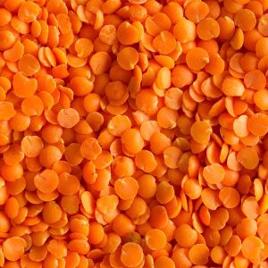 LENTILS