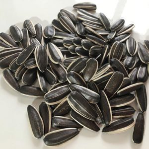 SUNFLOWER SEED