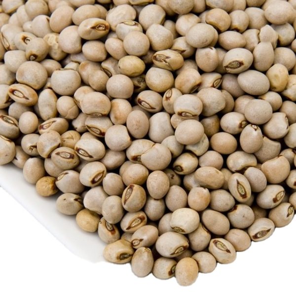 PIGEON PEAS