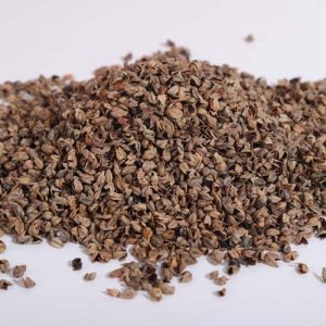 BUCKWHEAT