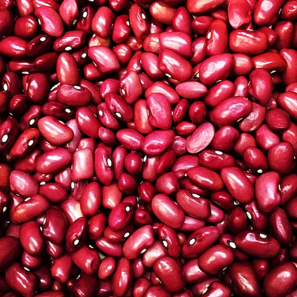 KIDNEY BEANS