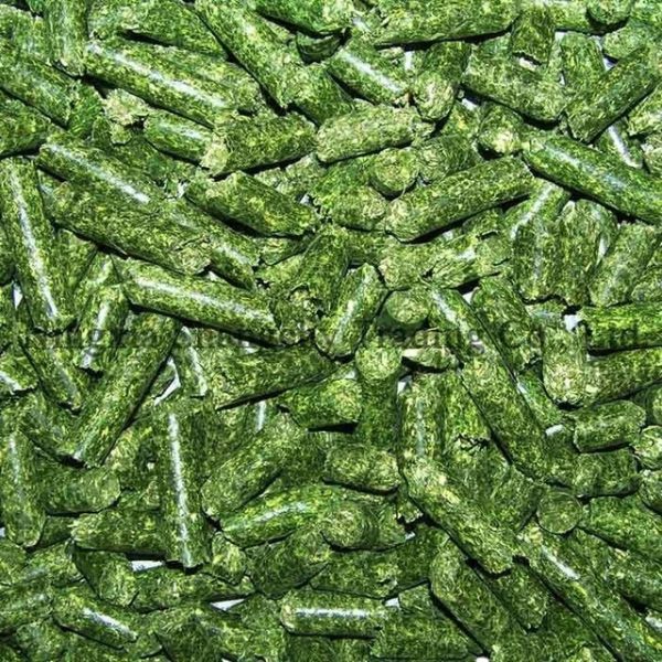 ALFALFA PELLETS & CUBES