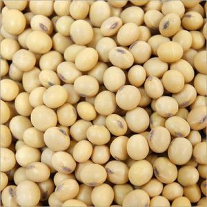 SOYA BEANS